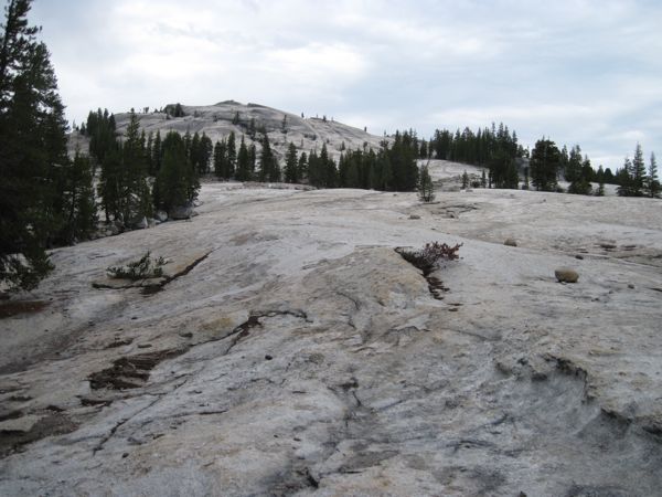 Pic of Open stone slope