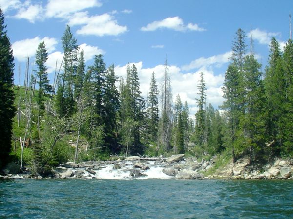 Outflow from
              String and Leigh Lakes into Jenny Lake