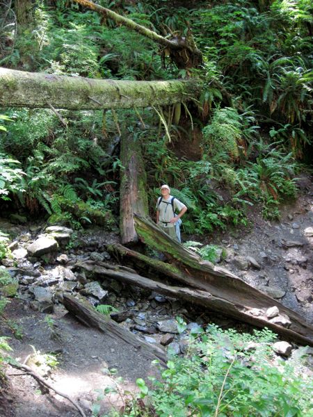 On hike to Chuckanut Ridge
