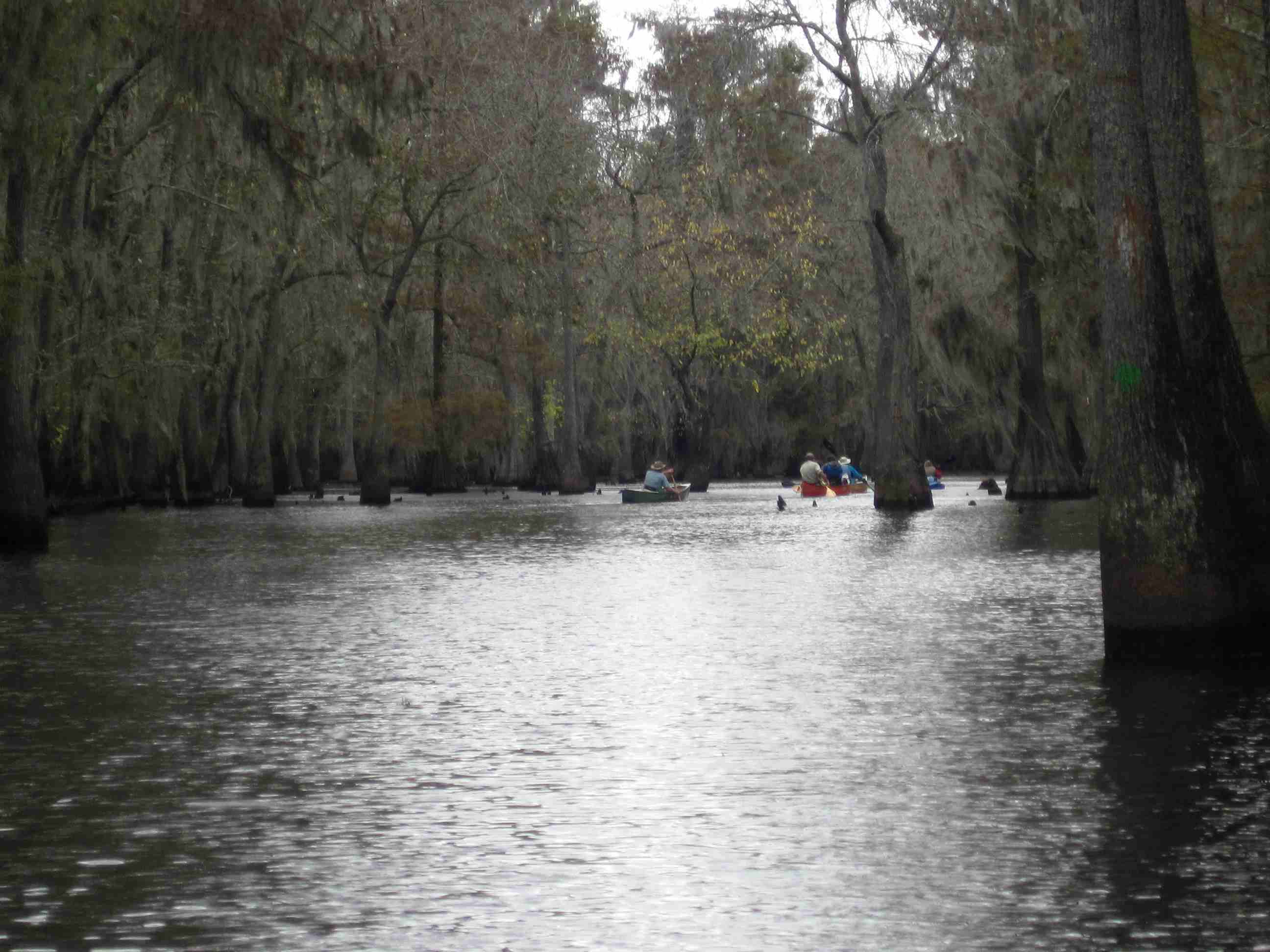 Pic: photo from the blazed water
              trail
