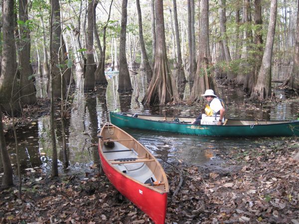 Pic: Sparkleberry launch site