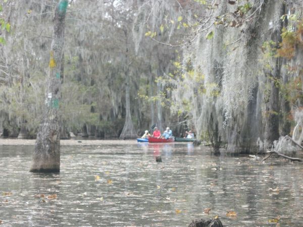 Pic: Sparkleberry launch site