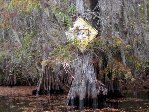 Pic: Sign full of bullet holes